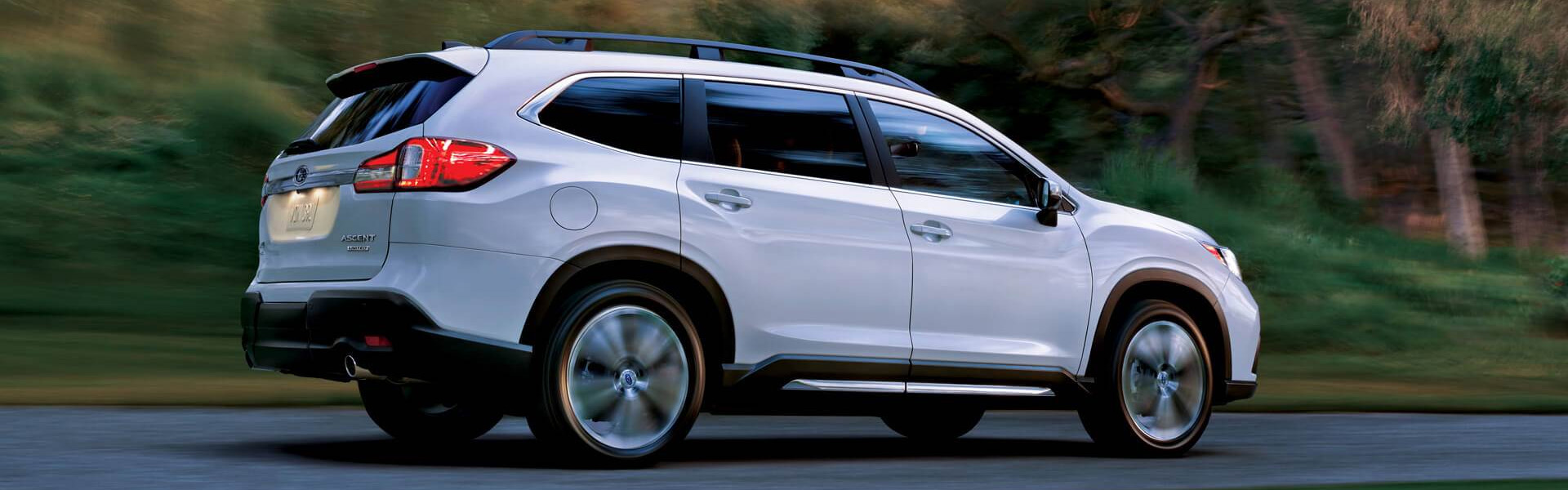2019 ascent