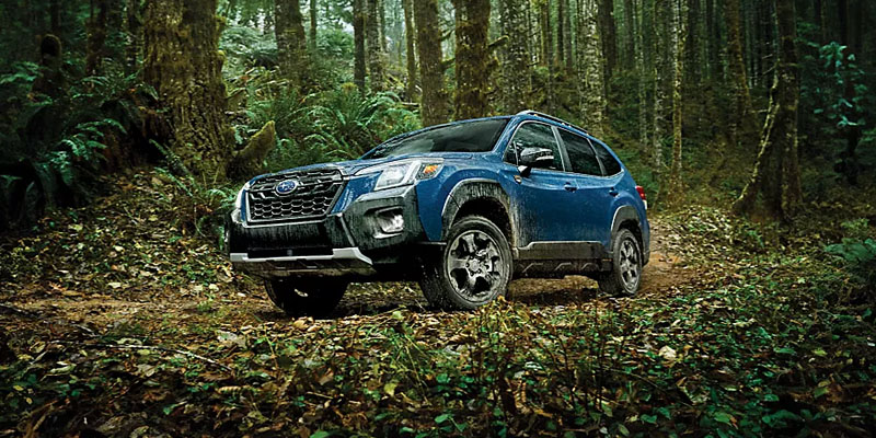 Perfect Subaru in Forest