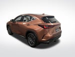 2025 Lexus NX 350h Luxury
