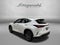 2022 Lexus NX 250 Base