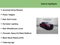 2023 Chevrolet Silverado 1500 4WD Crew Cab Short Bed LT Trail Boss