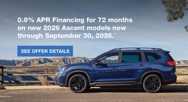 Ascent | Fitzgerald Subaru Clearwater in Clearwater FL
