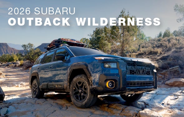 2026 Subaru Outback Wilderness | Fitzgerald Subaru Clearwater in Clearwater FL