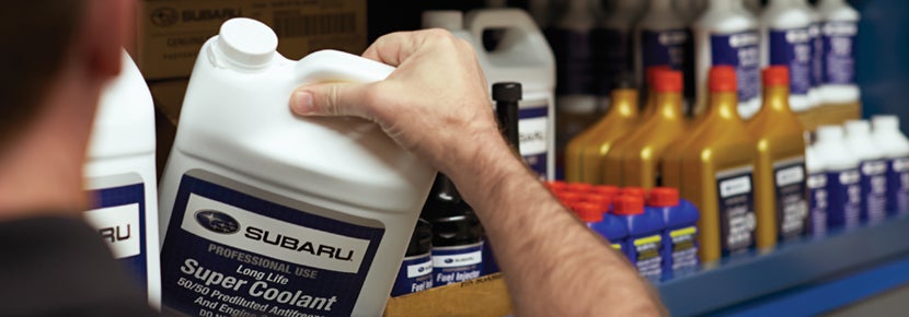 Picture of Subaru Super Coolant. | Fitzgerald Subaru Clearwater in Clearwater FL