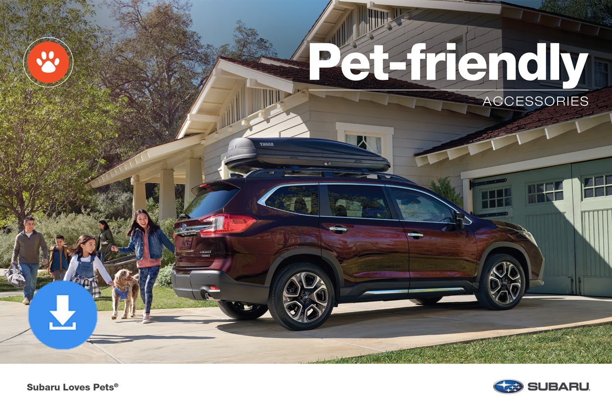 Fitzgerald Subaru Clearwater in Clearwater FL