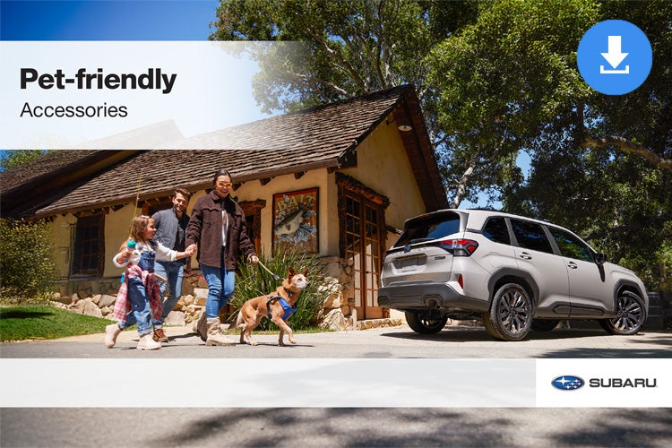 Fitzgerald Subaru Clearwater in Clearwater FL