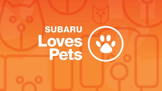 Fitzgerald Subaru Clearwater in Clearwater FL