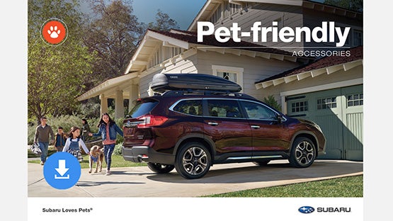 Fitzgerald Subaru Clearwater in Clearwater FL