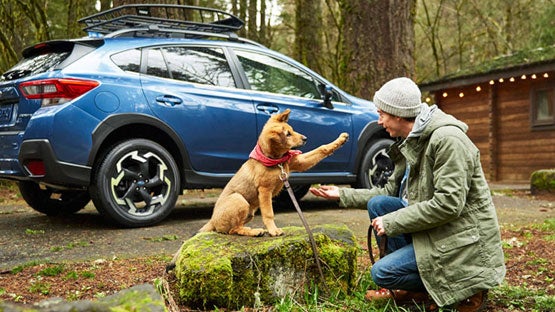 Fitzgerald Subaru Clearwater in Clearwater FL