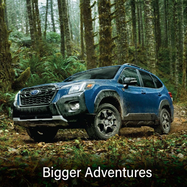 A blue Subaru outback wilderness with the words &ldquo;Bigger Adventures&ldquo;. | Fitzgerald Subaru Clearwater in Clearwater FL