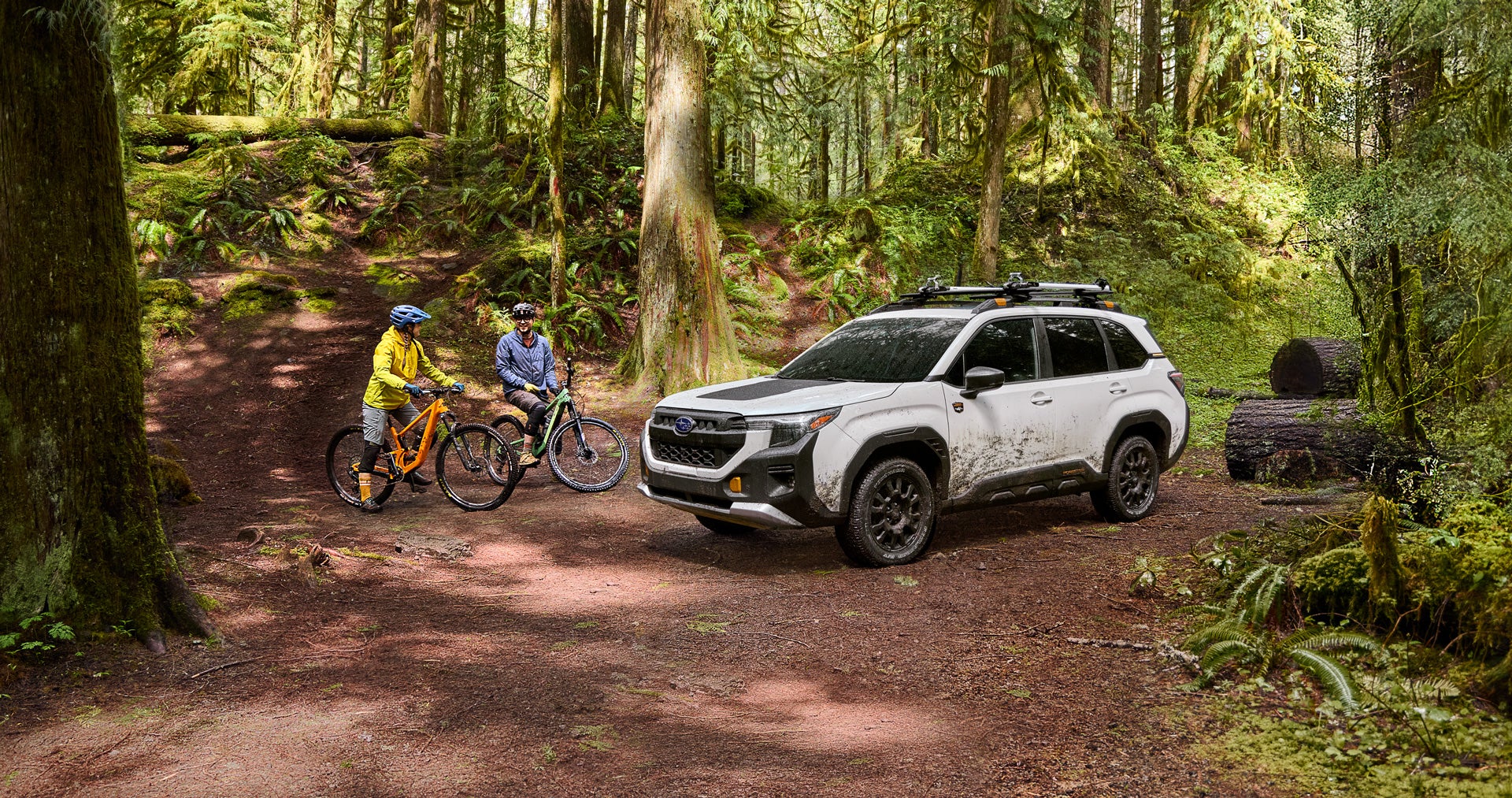 Subaru adventure quiz from Fitzgerald Subaru Clearwater