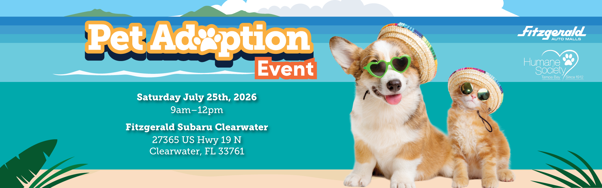 pet adoption - clearwater