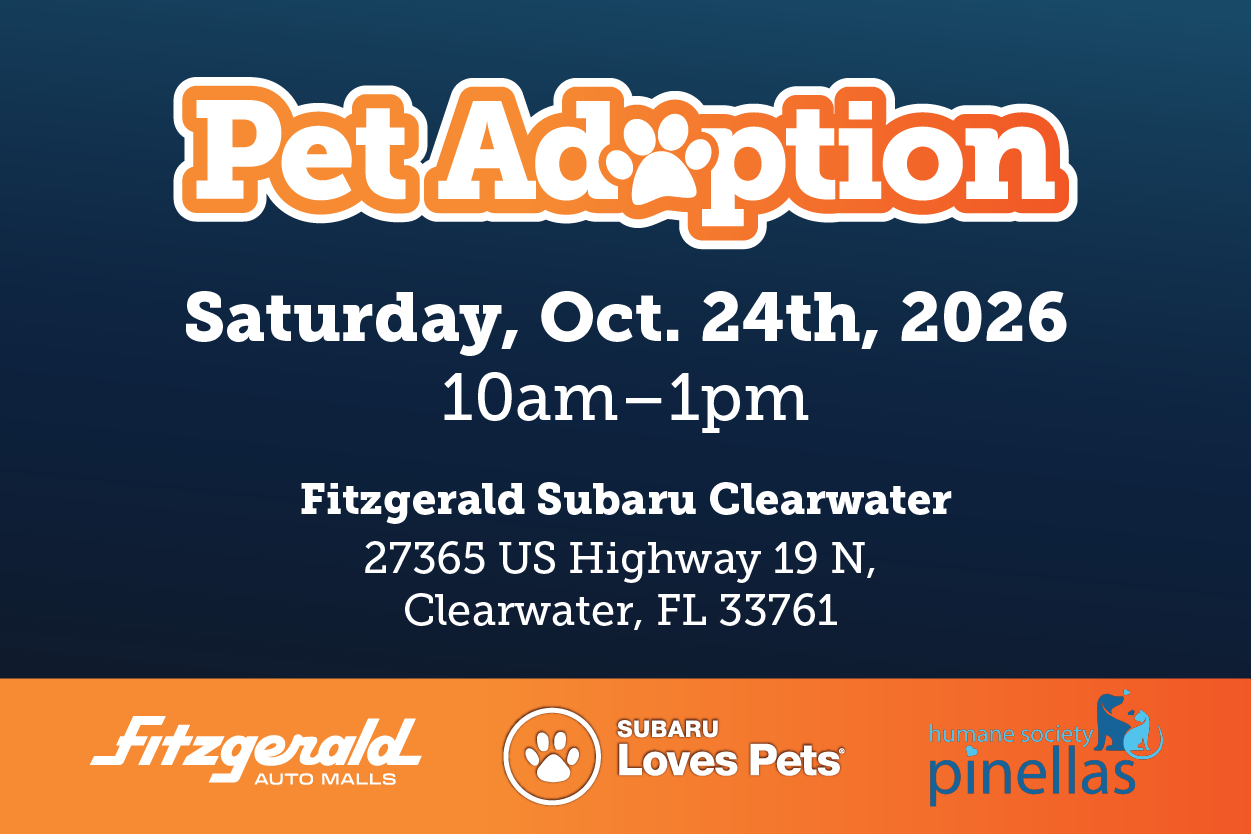 pet adoption