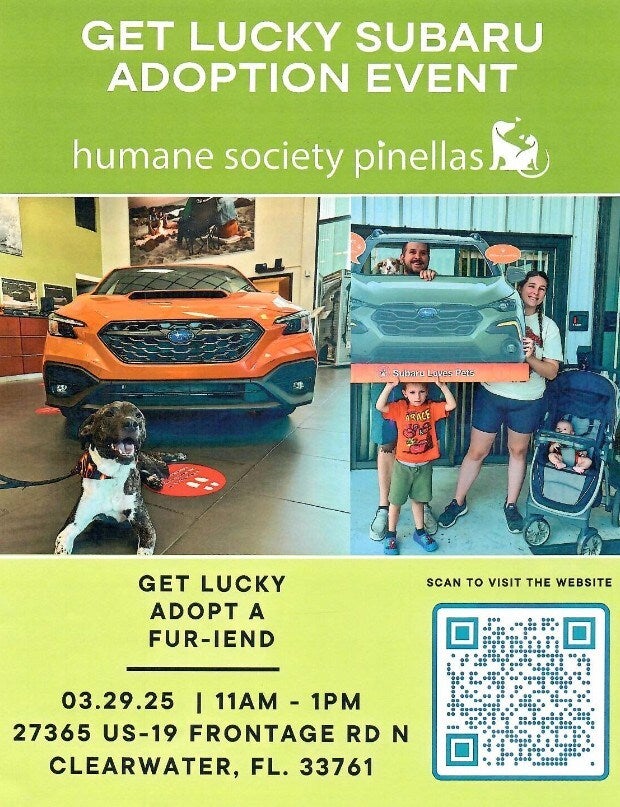 Fitzgerald Subaru Clearwater community blog stories and local event updates